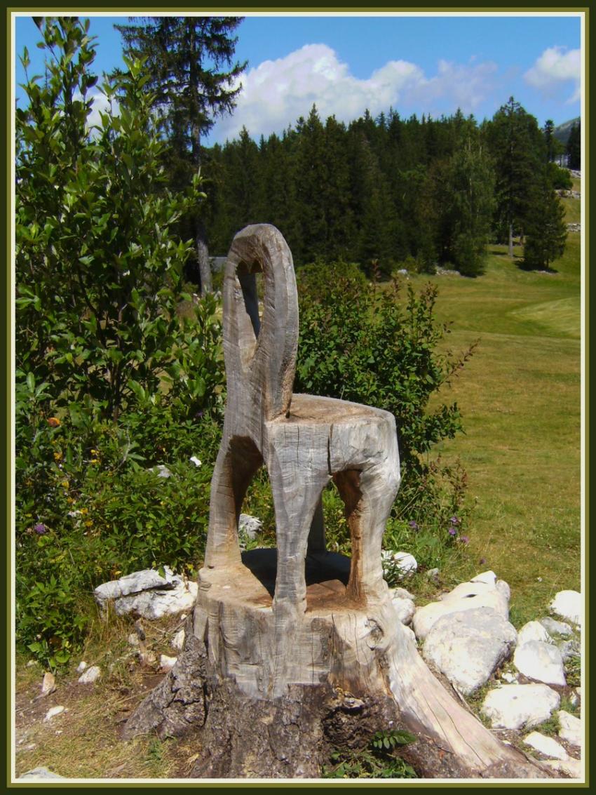 Chaise sculpte dans un tronc d'arbre