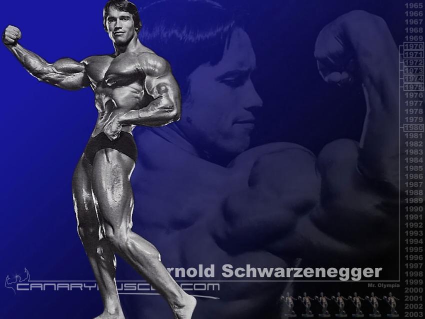 Arnold Schwarzenegger - musculation