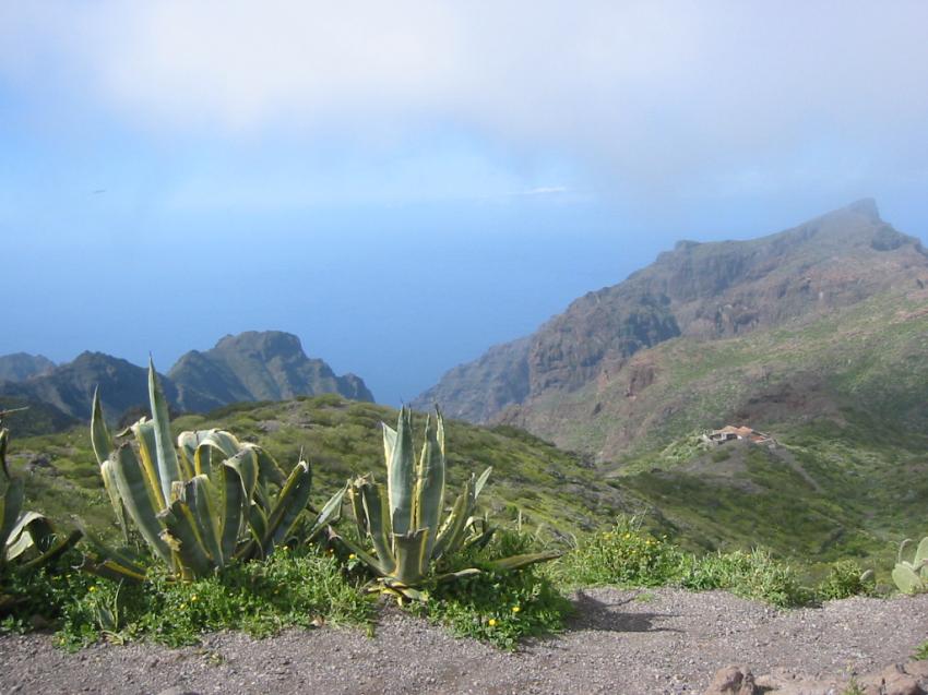 Route de Masca (Tenerife)
