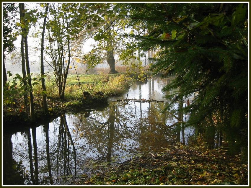Ruisseau  Remaucourt (02)