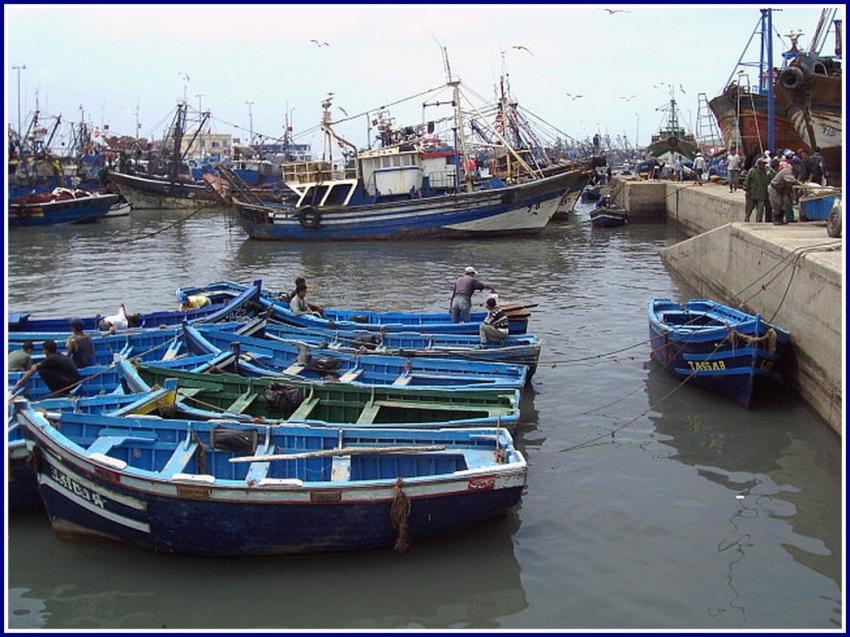 Maroc - Le port d'Essaouira