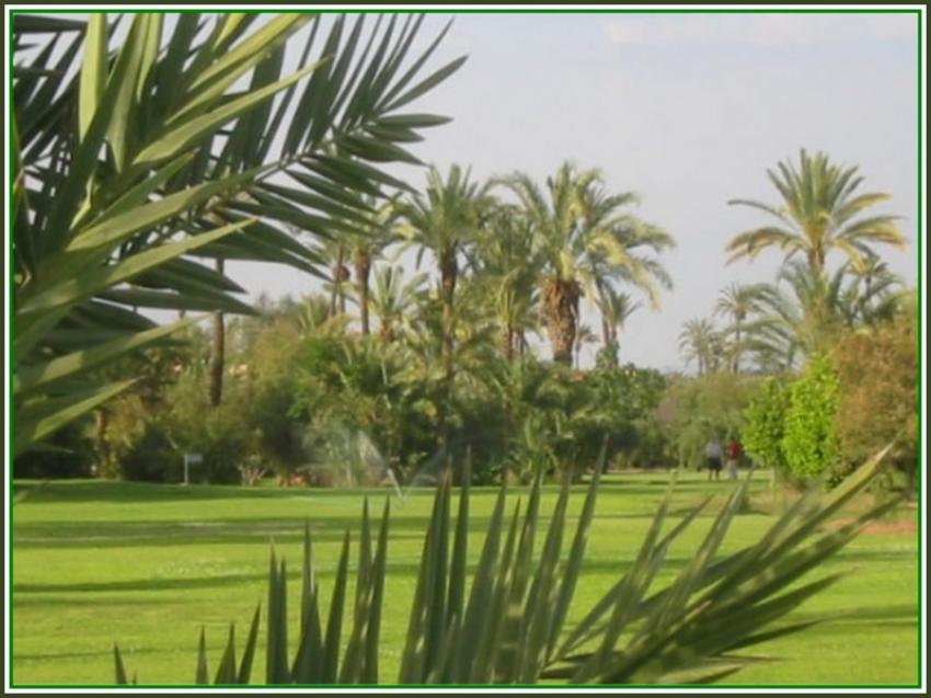 Parcours de golf  Marrakech