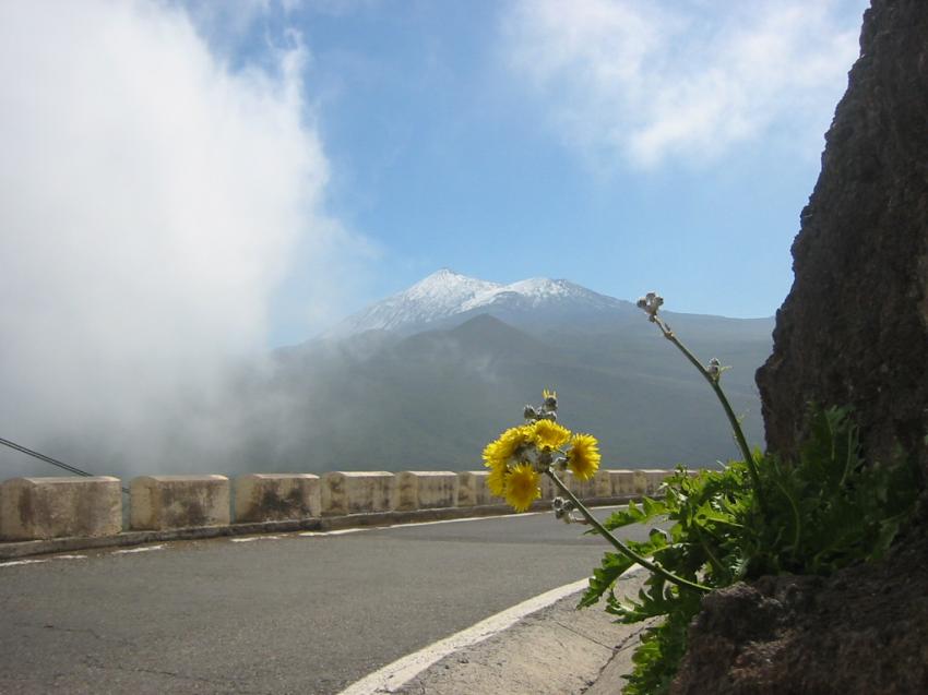 Route de Masca (Tenerife)