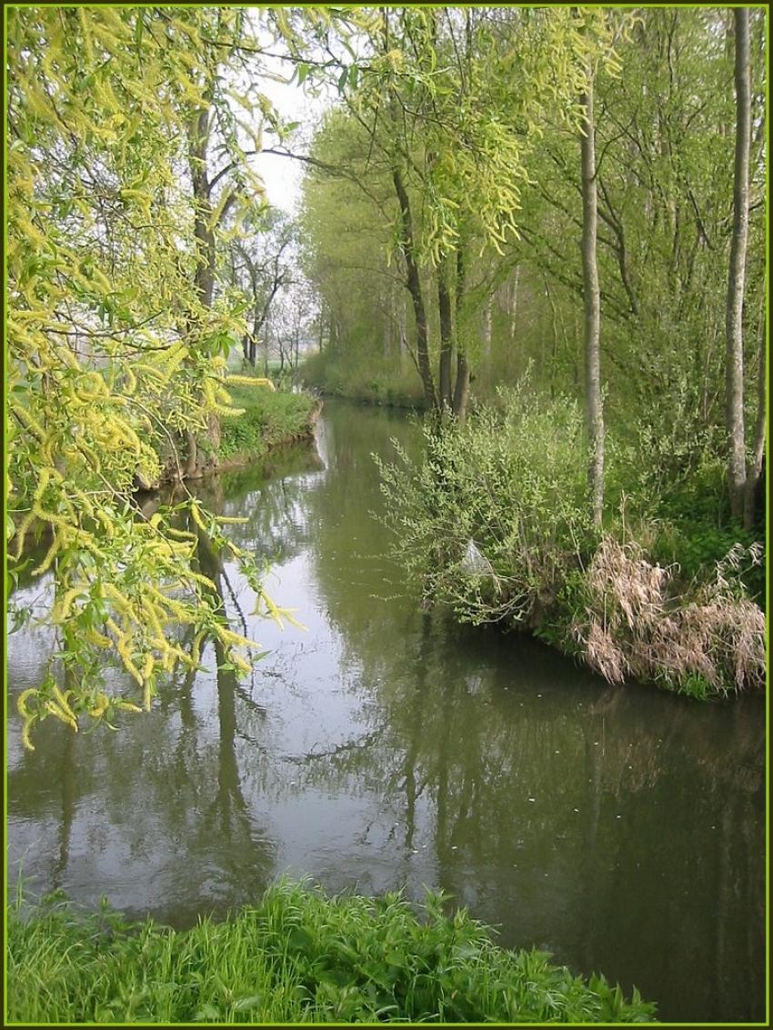 Deux ruisseaux au Nord-Est de St-Quentin