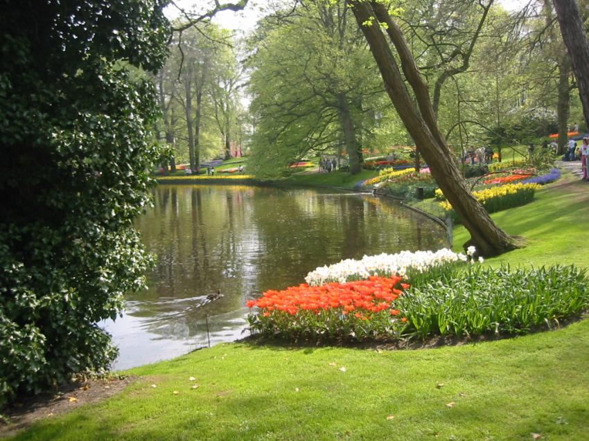 Parc floral  Keukenhoff (Hollande)