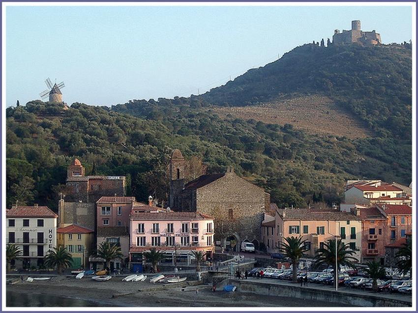 Collioure (66) - Les hauteurs de la ville