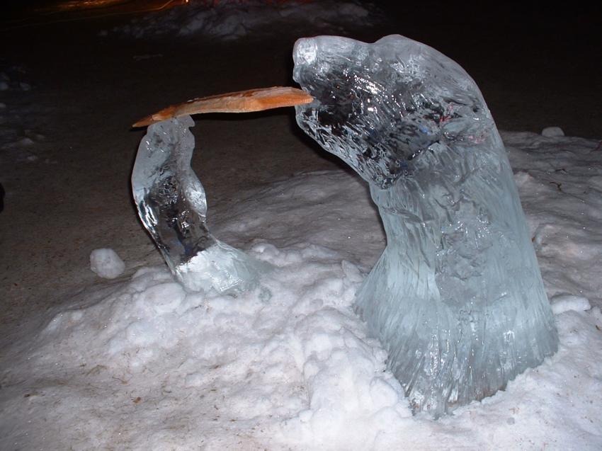 l'ours sculpt dans la glace