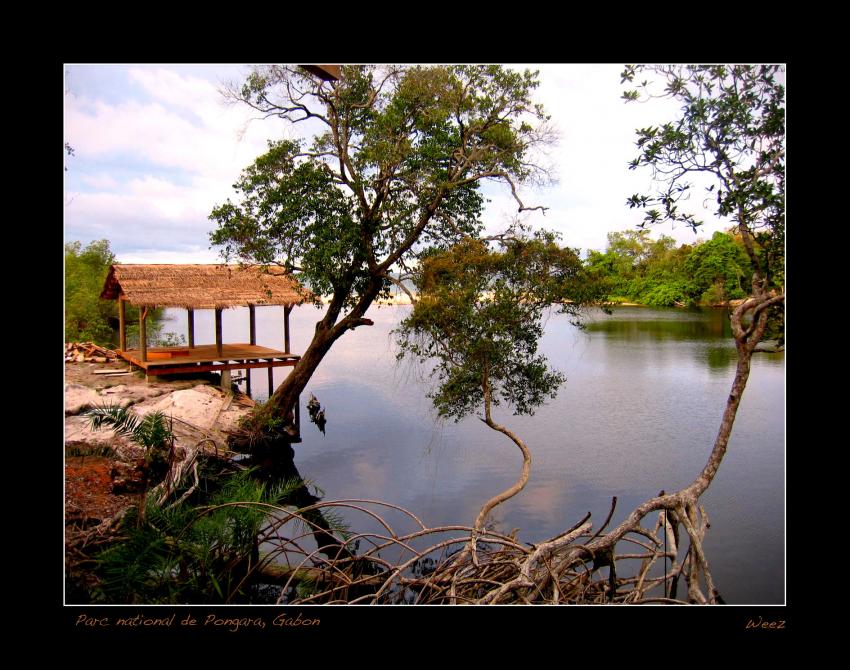 Lagune Parc national Pongara, Gabon