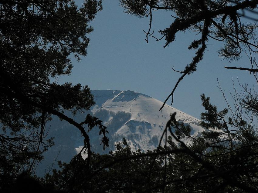 Le Mont Angele .