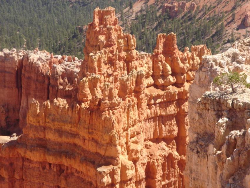bryce canyon et grd canyon