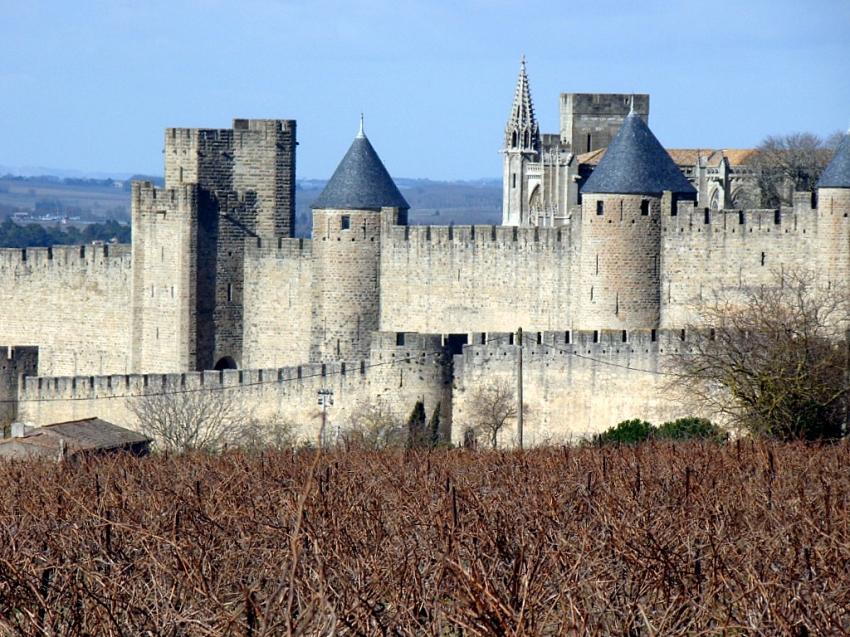 la cite de Carcassonne et ses vignes