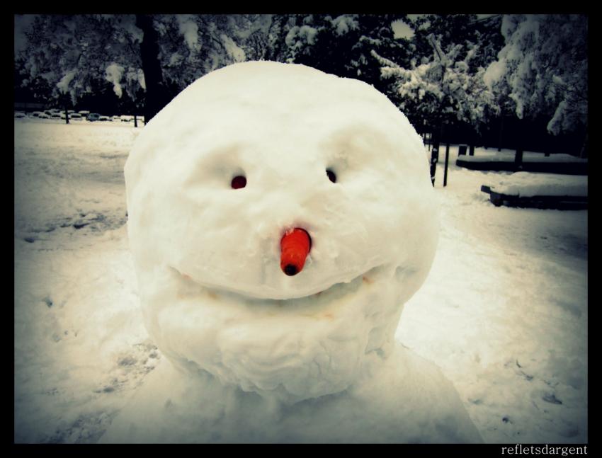 bonhomme de neige (sans son dentier)