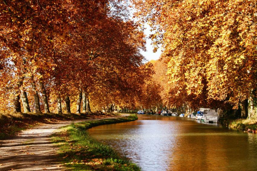 Canal du Midi en automne.