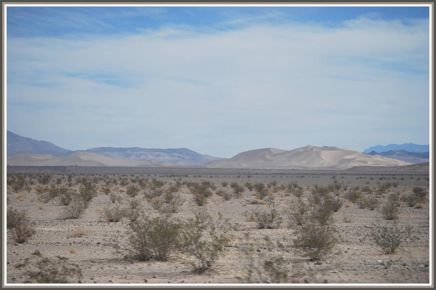 Dsert de Mojave (Est-Californie)