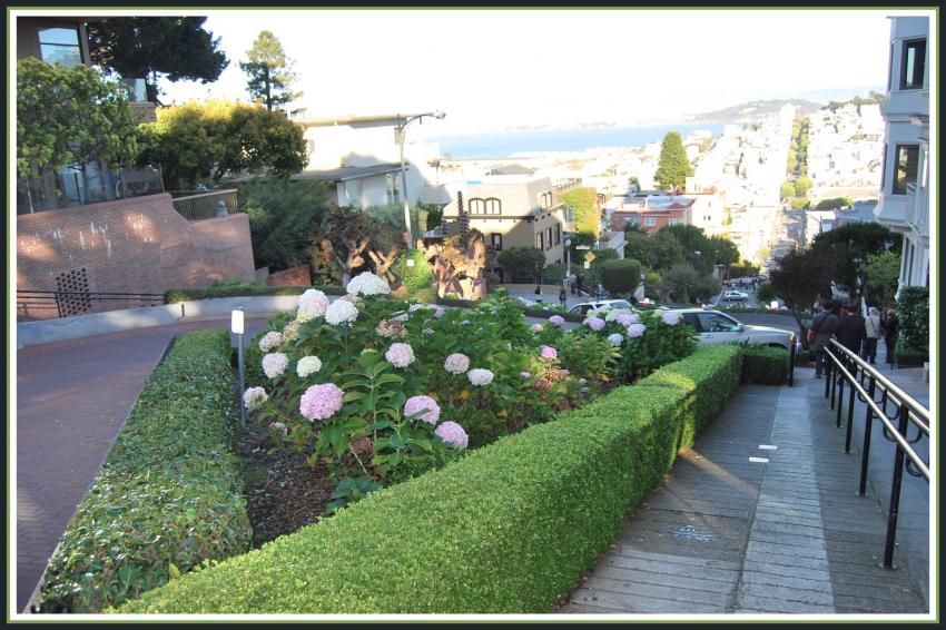 San-Francisco - Lombard Street