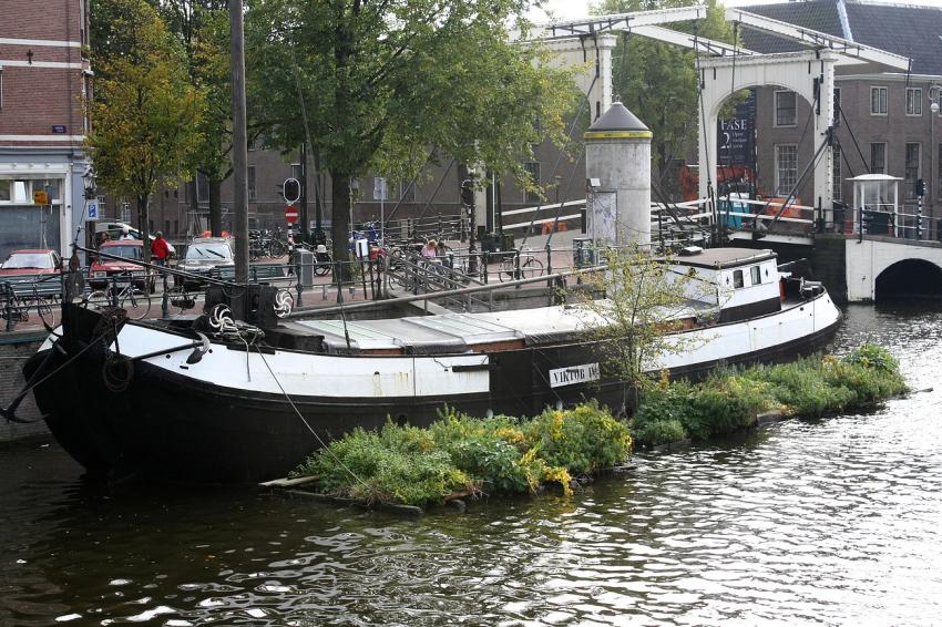 Amsterdam (8) Les jardins flottants