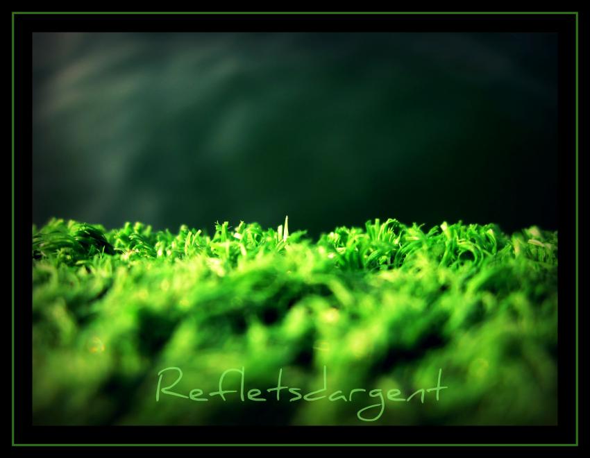 herbe synthtique