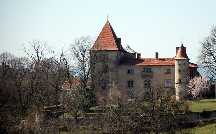 chateau de Vassalieux , Loire 42