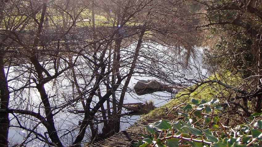 riviere de village depromian