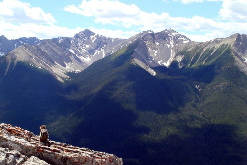 Banff National Park