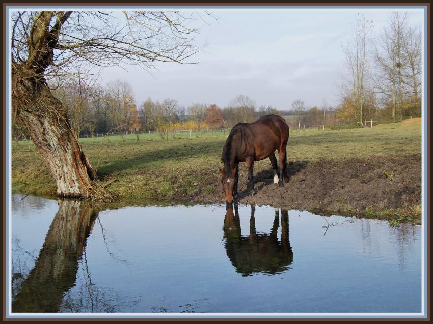 La Somme et l'talon