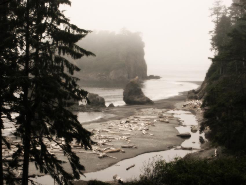 Olympic national park