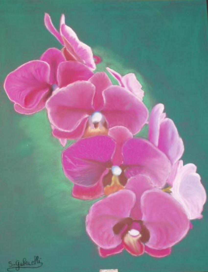 Branche d'orchide