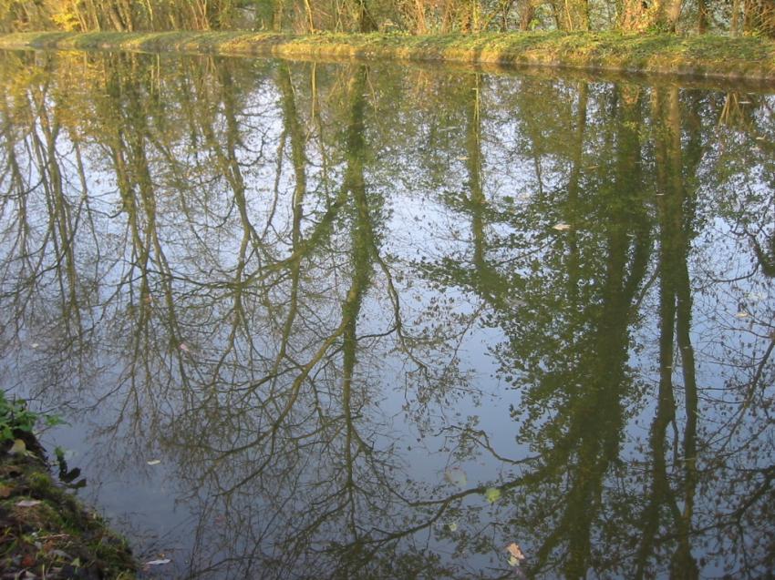 Reflets dans le canal