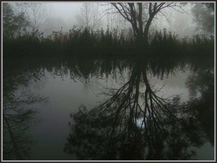 Reflets d'automne en Picardie