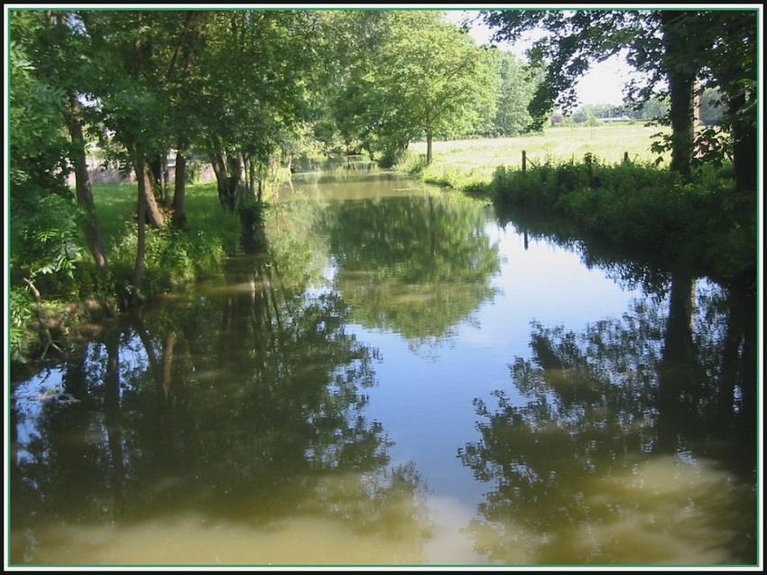 Bras de l'Oise  Vendeuil (02)