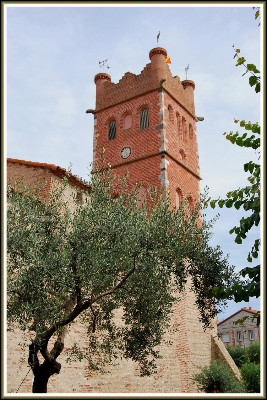 Eglise et olivier