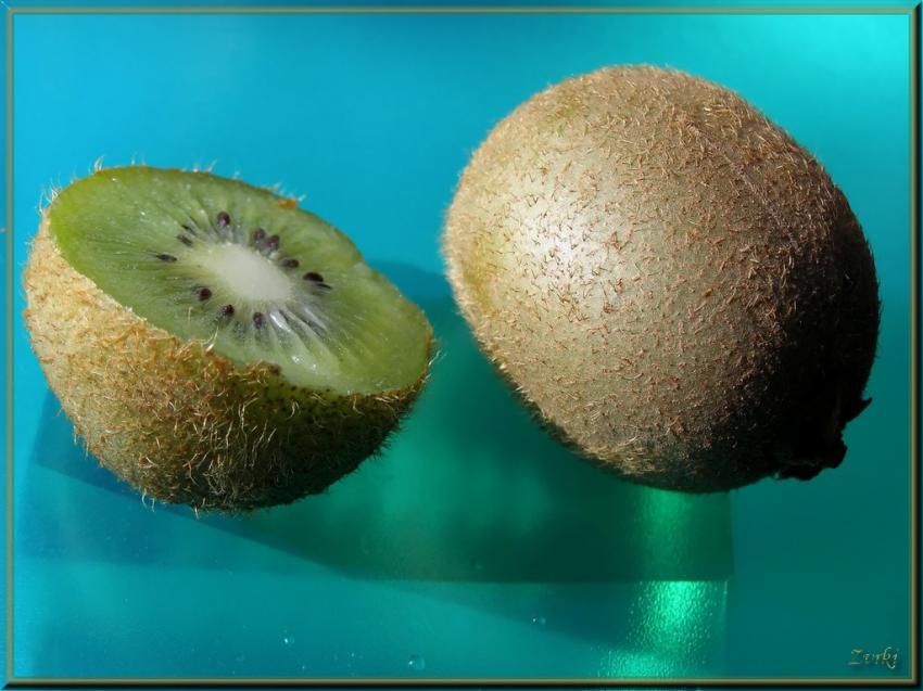 Kiwi  17508