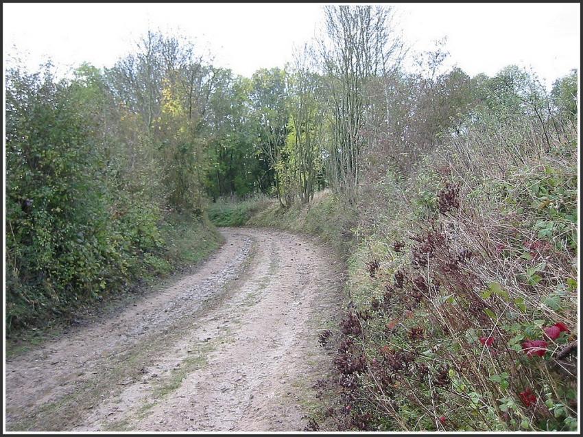 Chemin boueux d'automne