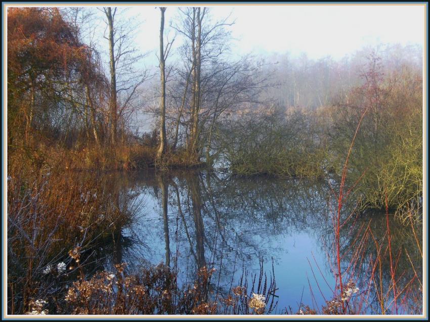 Marais d'Isle  Saint-Quentin (02)