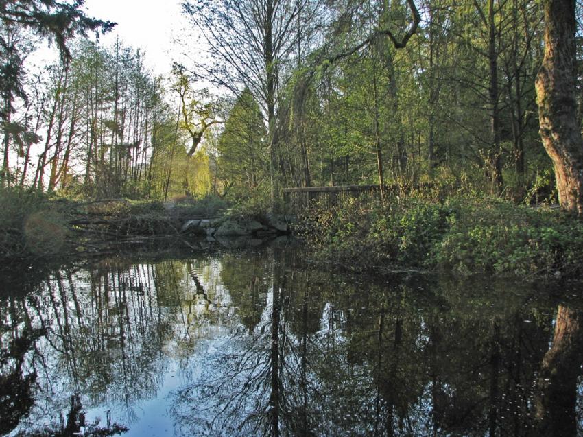 Reflets sur le Lost Lagoon