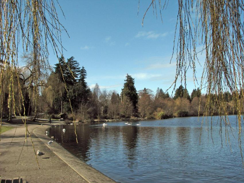 Parc Stanley et son Lost Lagoon, Vancouver -3-