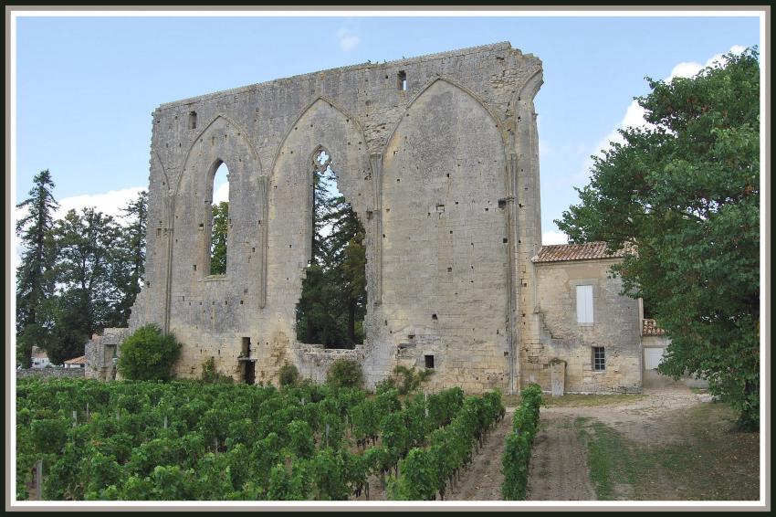 Saint-Emilion (33)