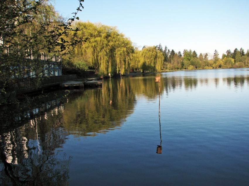 Lost Lagoon Vancouver