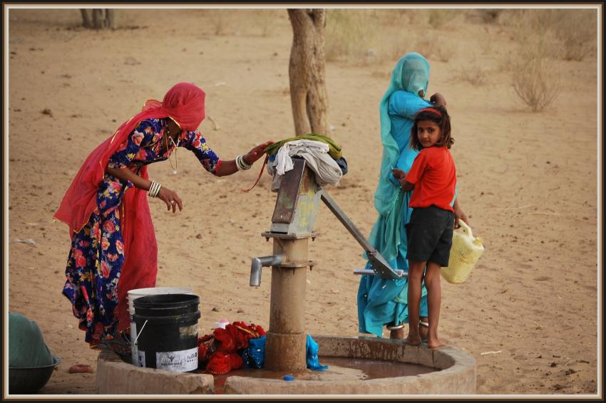 Safari dans le Rajasthan