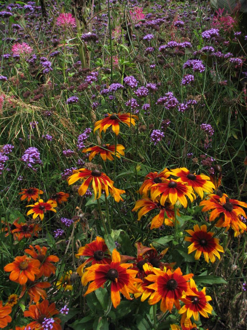 Jardin botanique Van Dusen