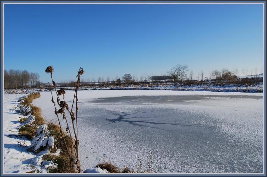 Etang gel  Clastres (02)