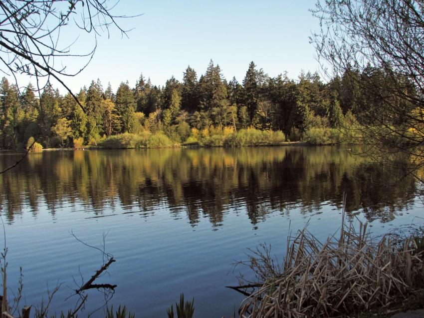 Lost Lagoon Vancouver