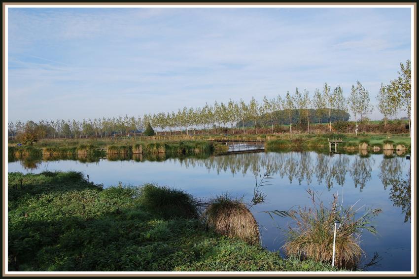 Etang de Clastres (02)