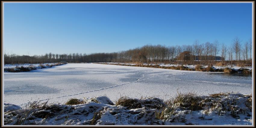 Etang gel  Clastres (02)