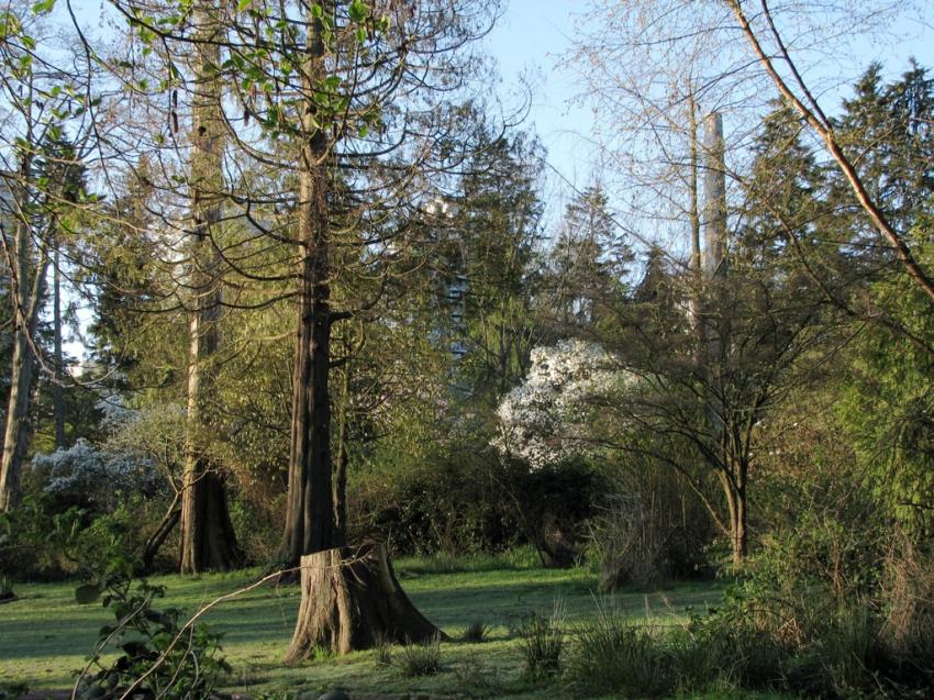 Stanley Parc Vancouver