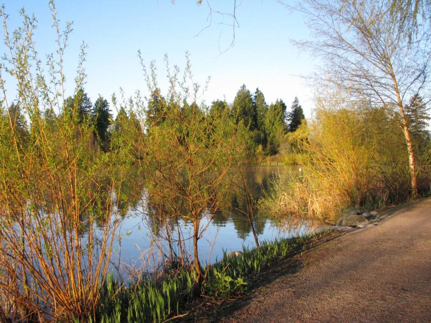 Lost Lagoon Vancouver