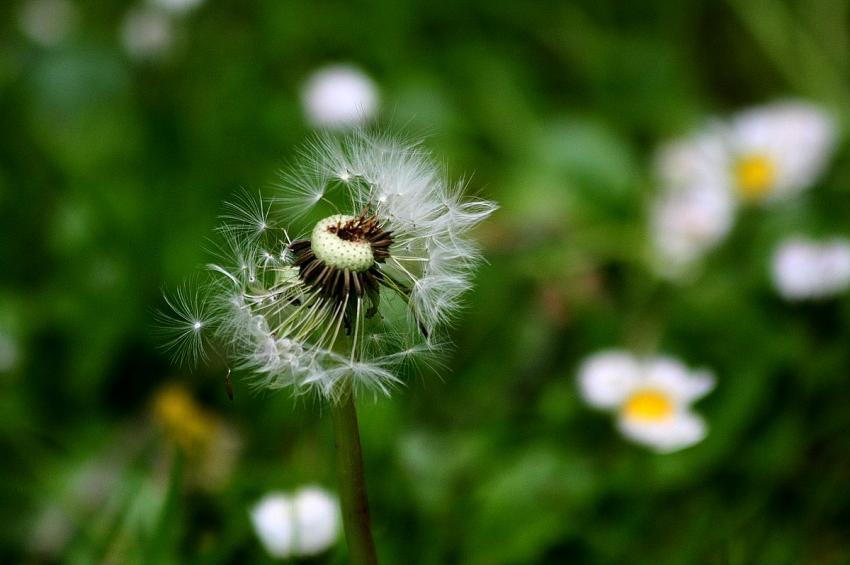 Le vent est pass par l !