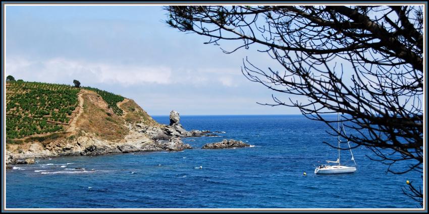 La Mditerrane  Banyuls (66)