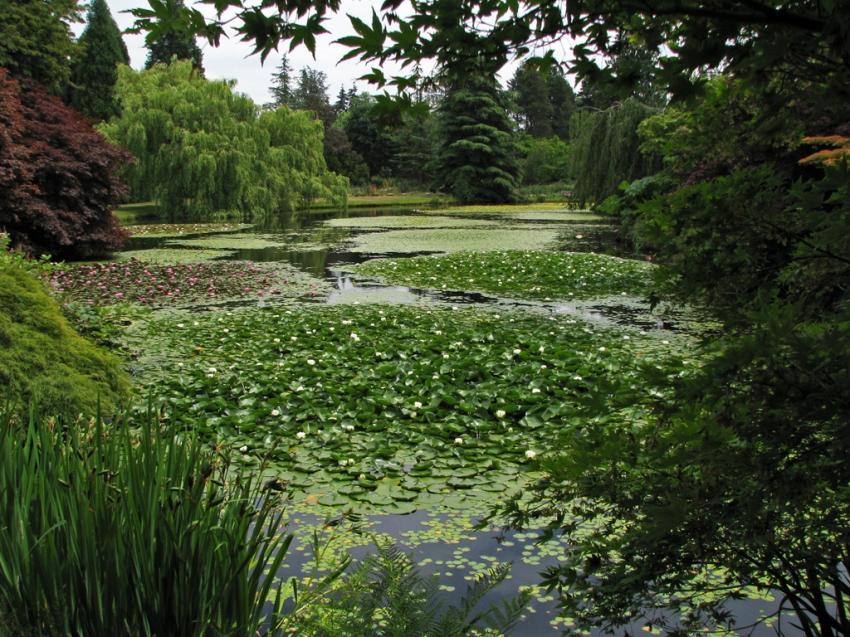 Jardin Van Dusen Vancouver