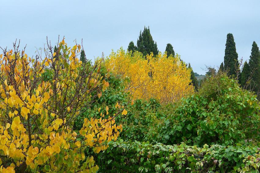 En vert et jaune